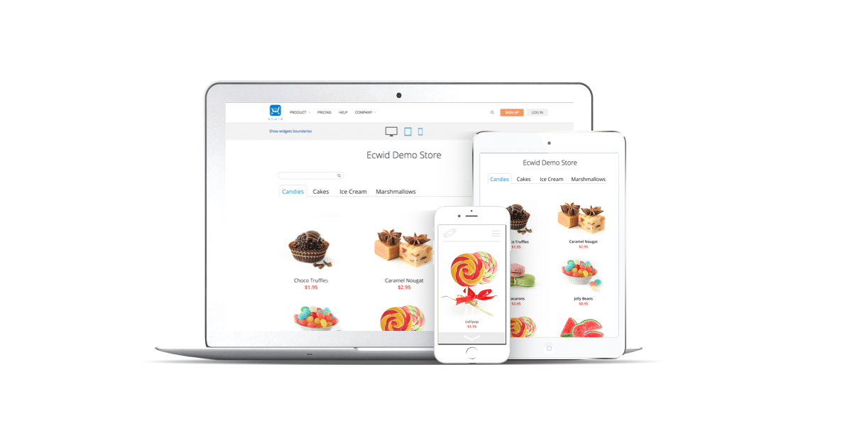 Ecwid Product:1: Easy Earned Money - 10 Best E-commerce Platforms 2020